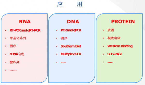 RNA/DNA/蛋白质三合一提取试剂盒中文说明书