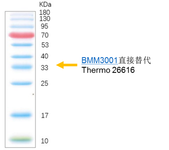 BMM3001
