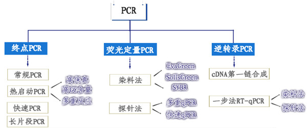 PCR分类