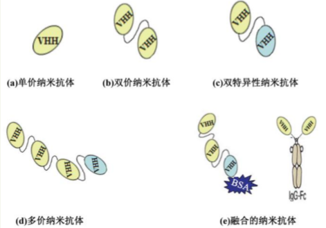 纳米抗体行业研究