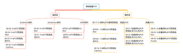 荧光定量PCR