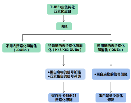 UbiTest检测原理