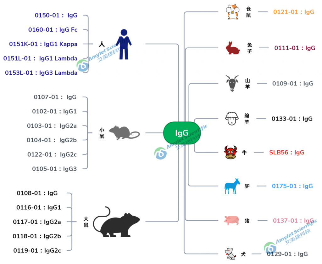 最全种属IgG蛋白