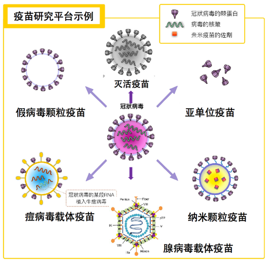 新冠病毒疫苗研究