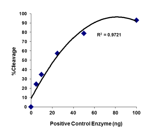 SARS-CoV-2前蛋白转化酶（PC）活性和抑制分析试剂盒