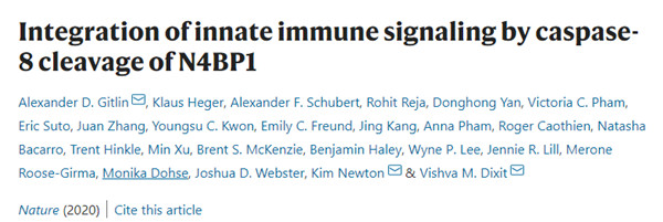 Caspase-8