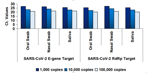 SARS-CoV-2 E基因和RdRP扩增