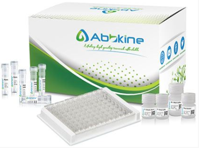 Abbkine细胞衰老β-半乳糖苷酶染色试剂盒解决方案