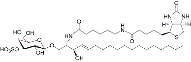 硫酸脑苷脂