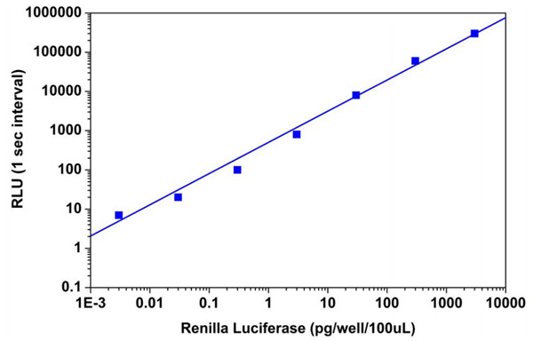 Amplite™海肾荧光素酶报告基因基因测定