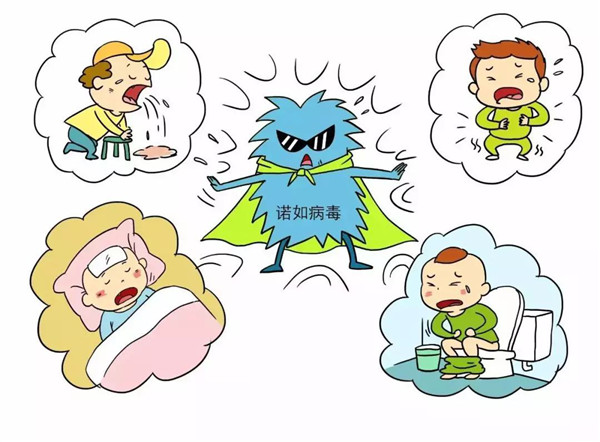 诺如病毒（Norovirus）感染