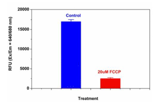 Cell Meter 线粒体膜电位测定试剂盒