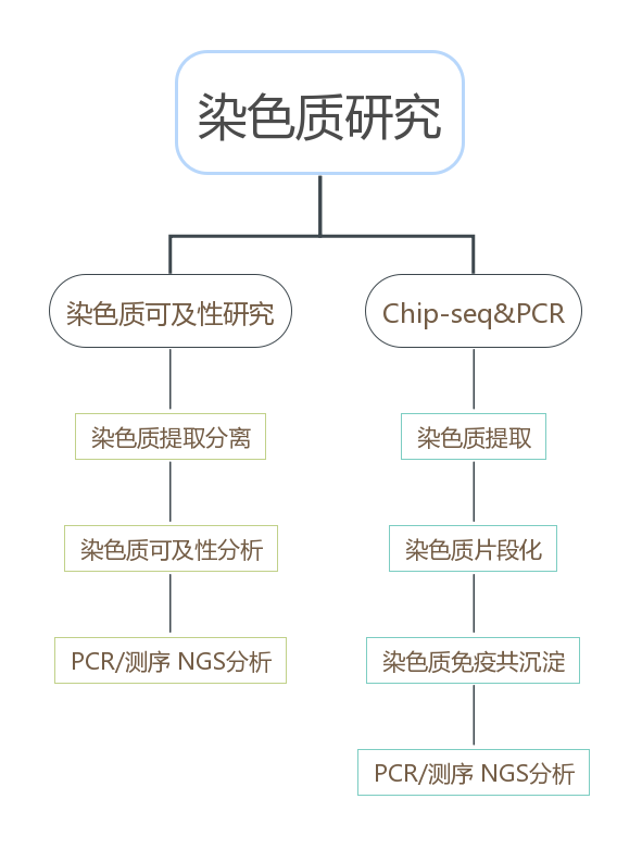 染色质研究