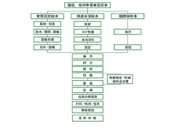 组织切片的实验步骤