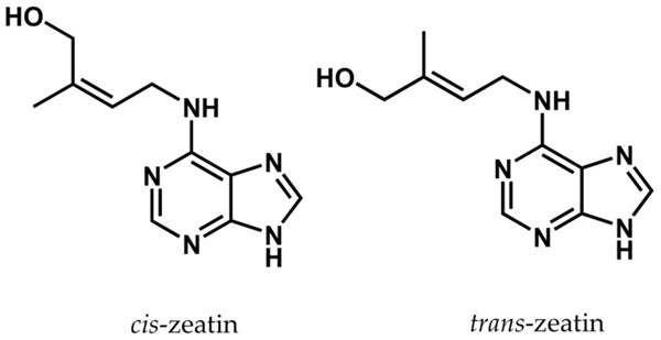 反玉米素和其衍生物-反玉米素核苷