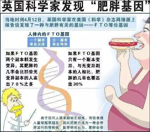 肥胖基因FTO