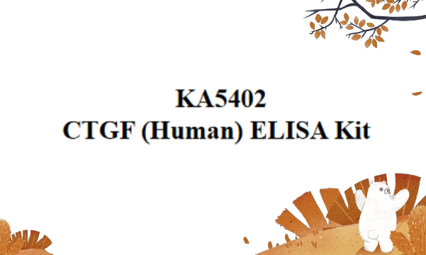 KA5402 CTGF (Human) ELISA试剂盒