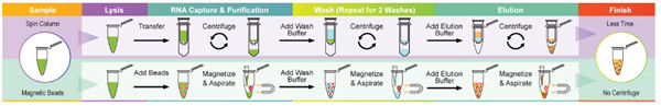 病毒RNA提取试剂盒操作流程