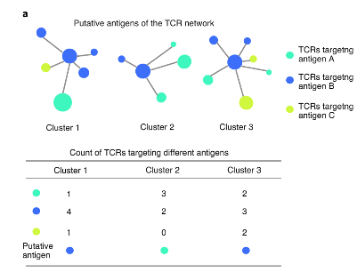 单T细胞转录组学绘制出T细胞受体库的功能图谱