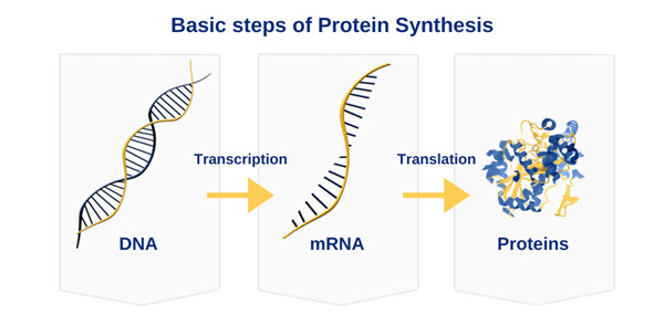 microRNA