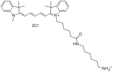 Cy5 胺