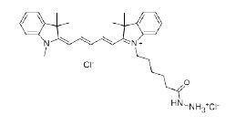 Cy5 酰肼