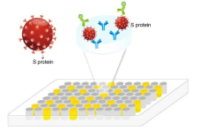 COVID-19 Viral Antigen S ELISA Kit