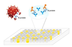 COVID-19 Viral Antigen N ELISA Kit