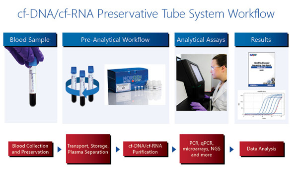 全血样品中游离cf-DNA和cf-RNA保存管的工作流程