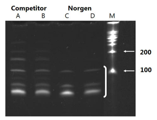 从Hela细胞中提取microRNA