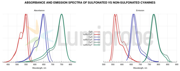 磺化与非磺化花青标记时的区别
