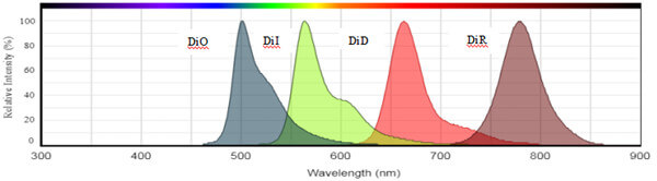 DiO、DiI、DiD、DiR的光谱图