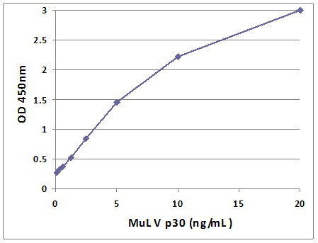 MuLV Core p30 标准曲线