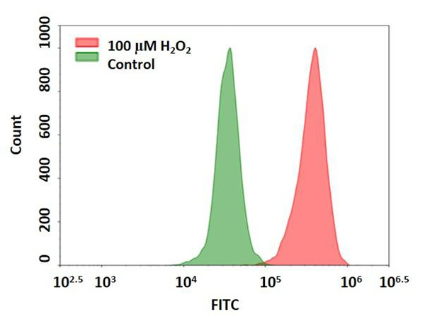 Cell Meter 细胞内荧光过氧化氢检测试剂盒（