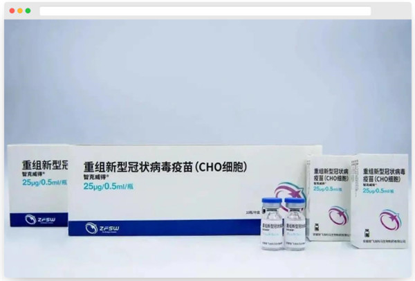 中国仓鼠卵巢 (CHO)细胞