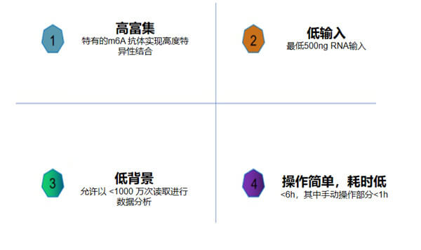 EpiNext CUT＆RUN RNA m6A-Seq试剂盒