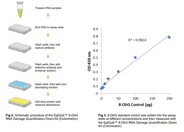 P-6008:8-OhG RNA 损伤直接定量试剂盒