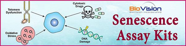 衰老检测研究的试剂盒