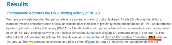 转录因子NF-κB调节参与免疫和炎症反应的基因