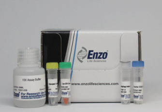 升级款- CYTO-ID® Autophagy detection kit 2.0