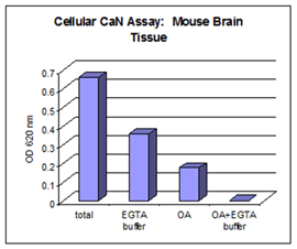 钙调神经磷酸酶细胞活性检测试剂盒