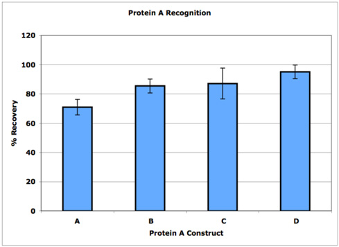 多种Protein A检测回收率