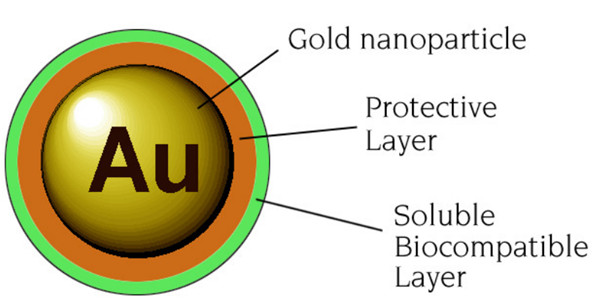 纳米金（Nanogold®）标记