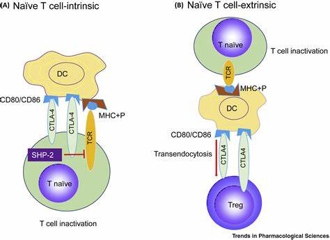 CTLA4