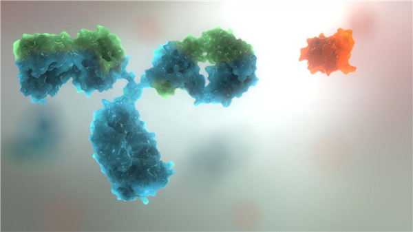 新生物分子的抗体