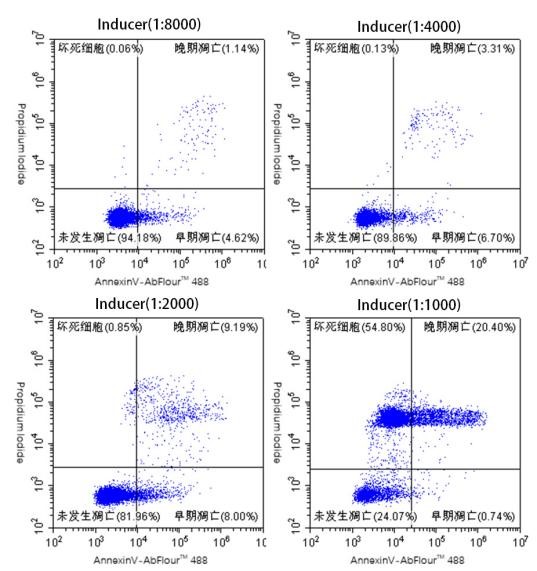 Abbkine细胞凋亡检测鸡尾酒套装