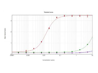RFP/DsRed/tdTomato