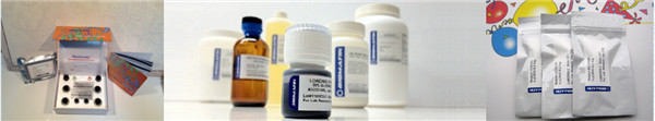 睾酮（Testosterone）抗体、偶联物以及各种种属的检测试剂盒
