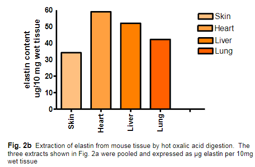 小鼠组织样品中的弹性蛋白提取&定量