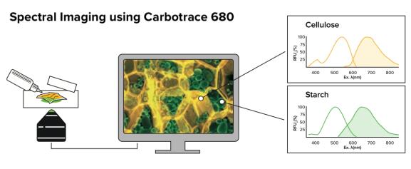 CarbotraceTM 680